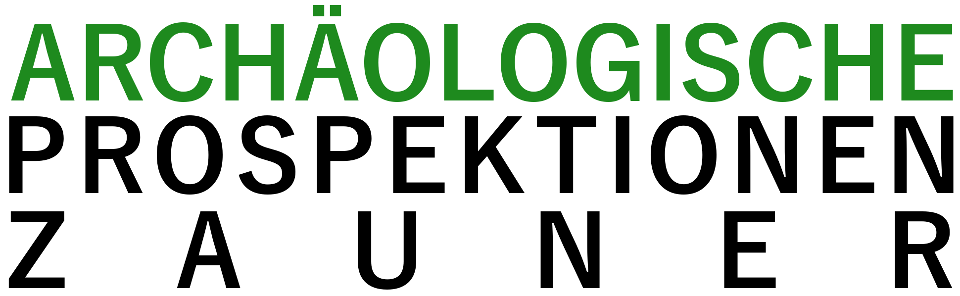 zap-archaeologie.de